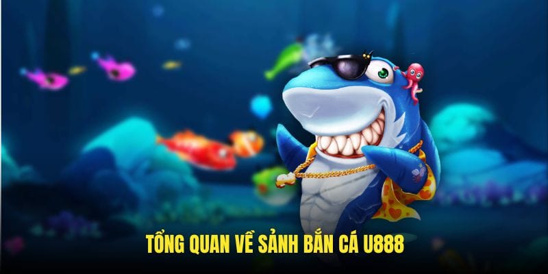 Đặc điểm chung giới thiệu sảnh bắn cá U888